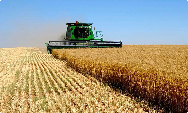 Развитие переработки сельхозпродукции