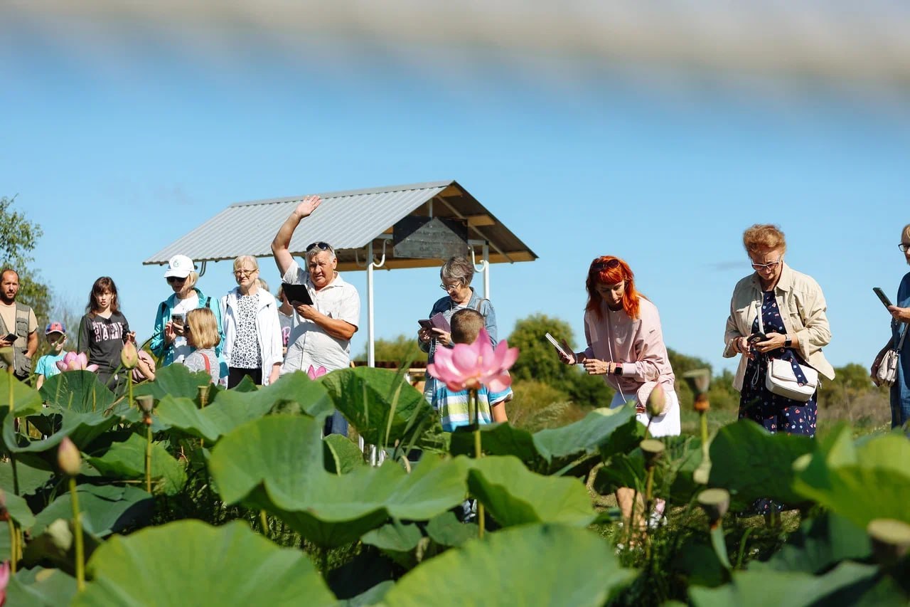 61 реализованная инициатива, субсидии на мероприятия и проекты от школ: как прошел 2025 год для инициативного бюджетирования в Амурской области